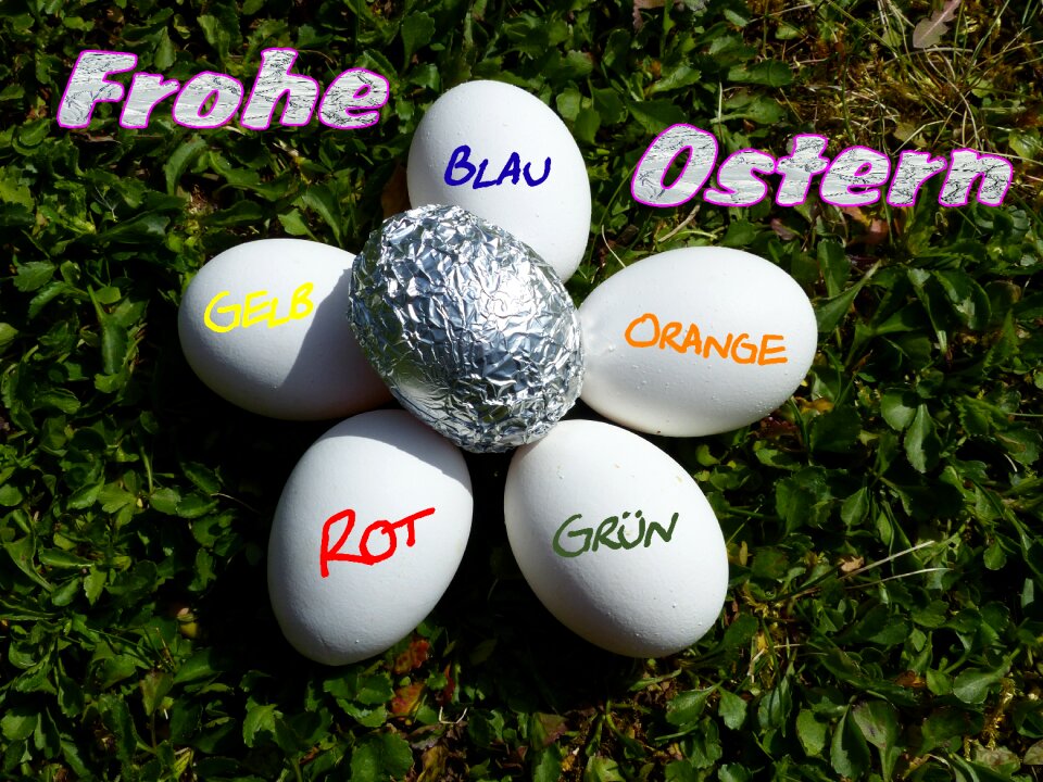 Easter nest funny artistically