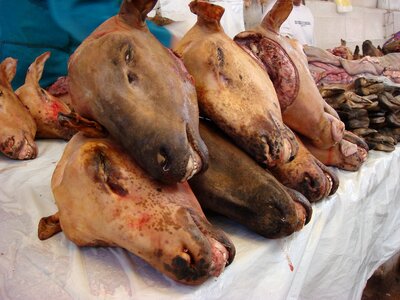Market beasts animals