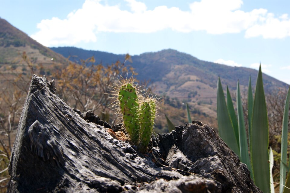 Outdoors travel desert