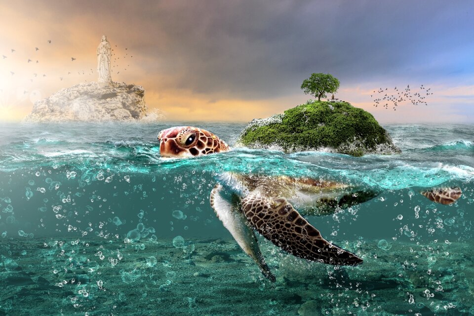 Summer ocean seashore