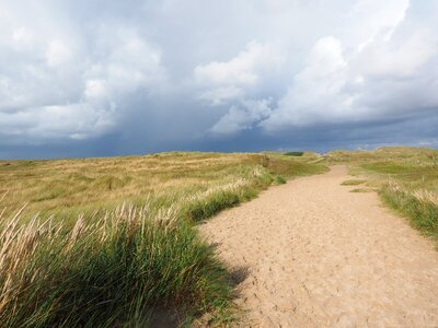 Elbow dunes marram grass