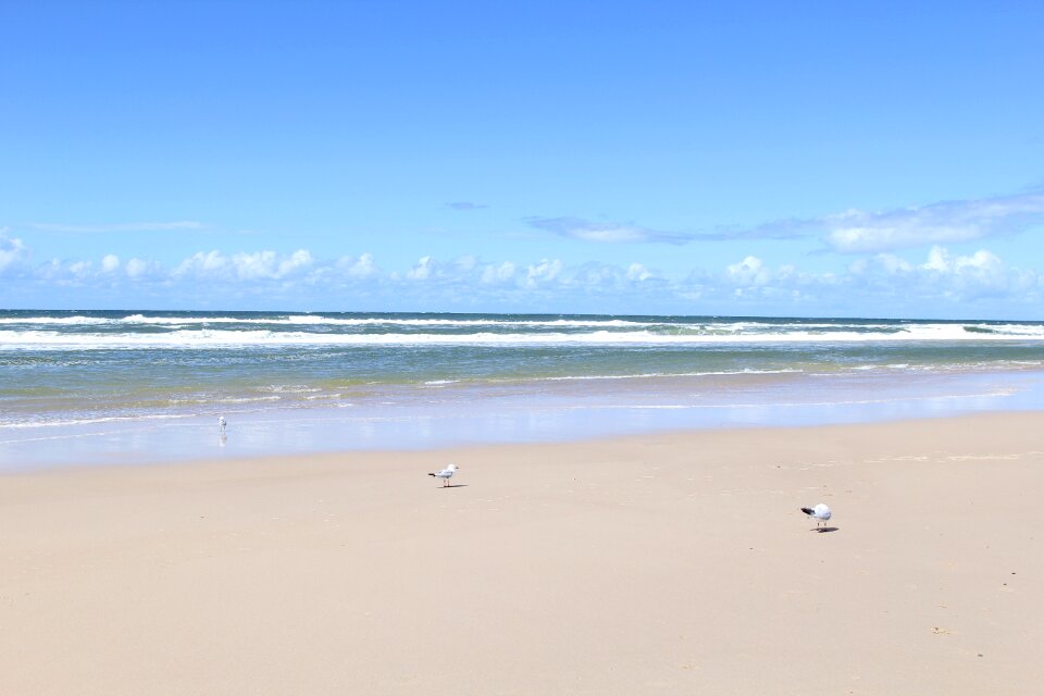 Pacific ocean gold coast wave