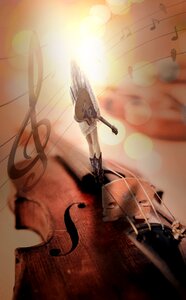 Strings stringed instrument musician photo