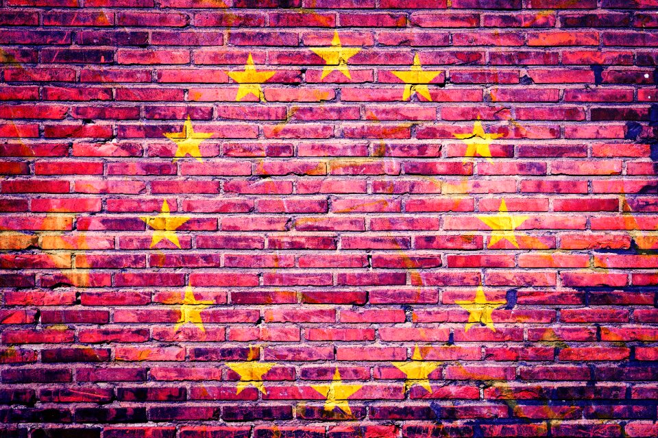 Referendum politics economy