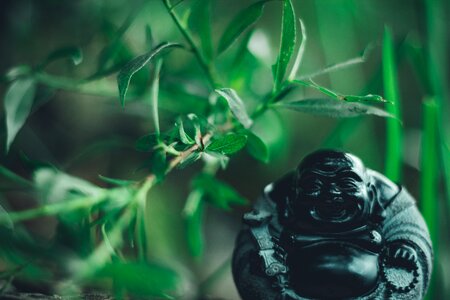 Chinese buddha monk statue photo