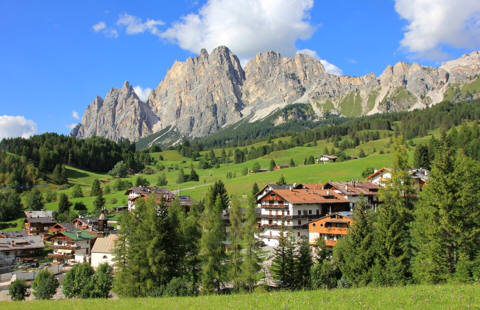 Wood panorama dolomites