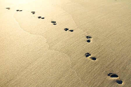 Footprints brown beach brown sunrise