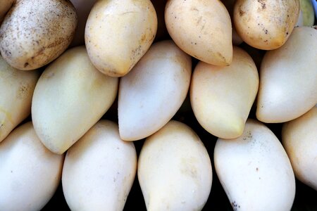 Agriculture nutrient healthy