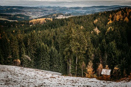 šumava wintertime woods