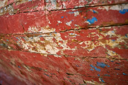 Texture wood abstract