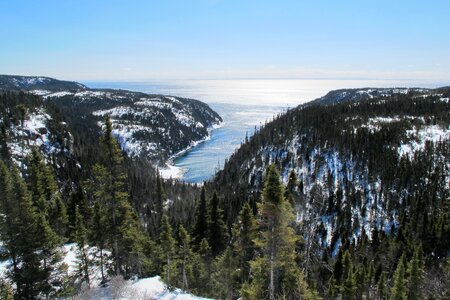 Outlook firs bay