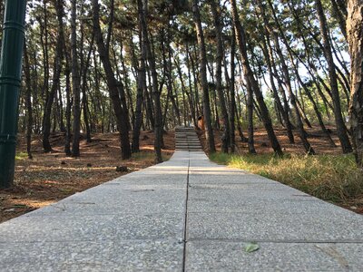 Lane the number of garden