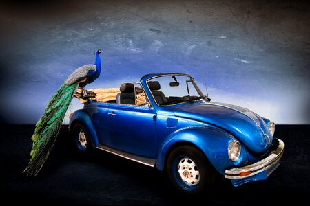 Vehicle oldtimer automotive