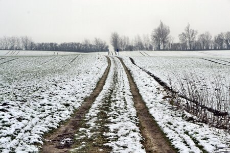 Lane snow winter