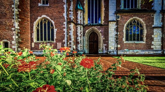 Flowers entry sunset
