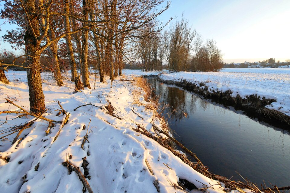 Tree frost river