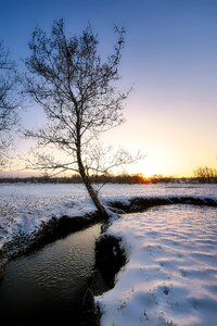 Landscape tree winter magic photo