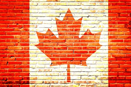 National canada flag canadian flag photo