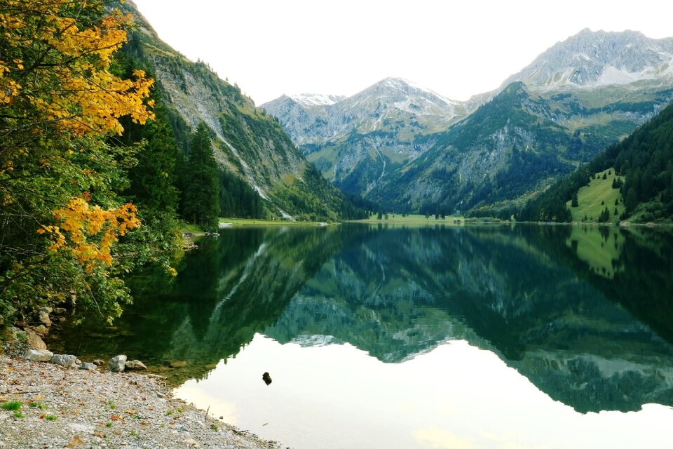 Landscape travel tree