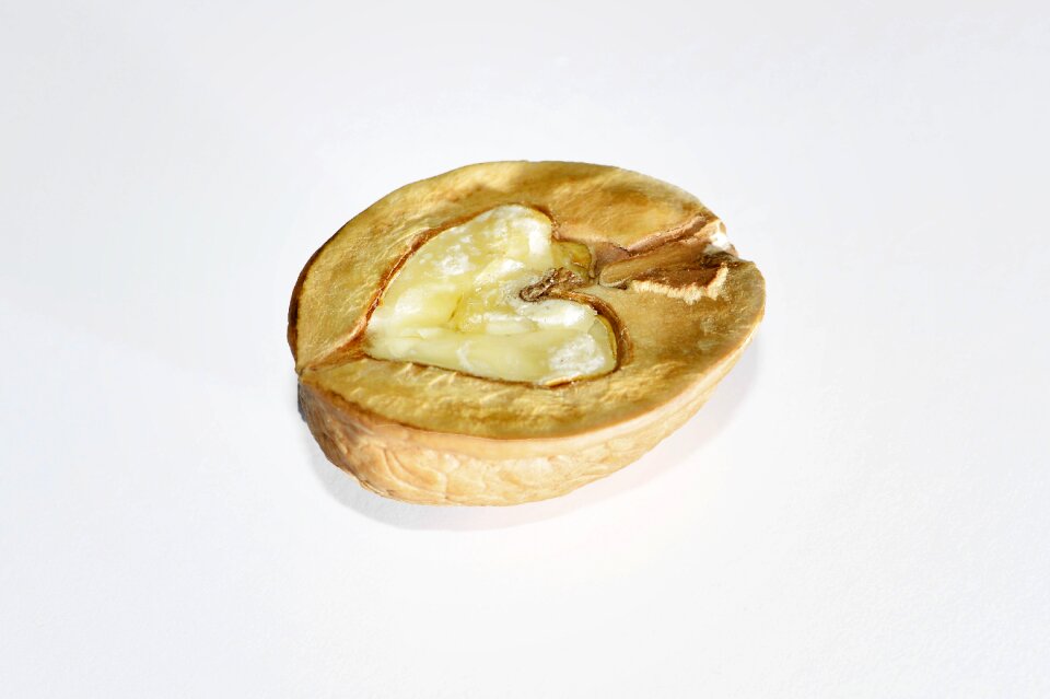 Fruit bowl brown food