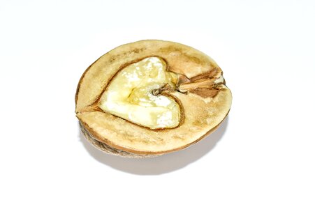 Fruit bowl brown food