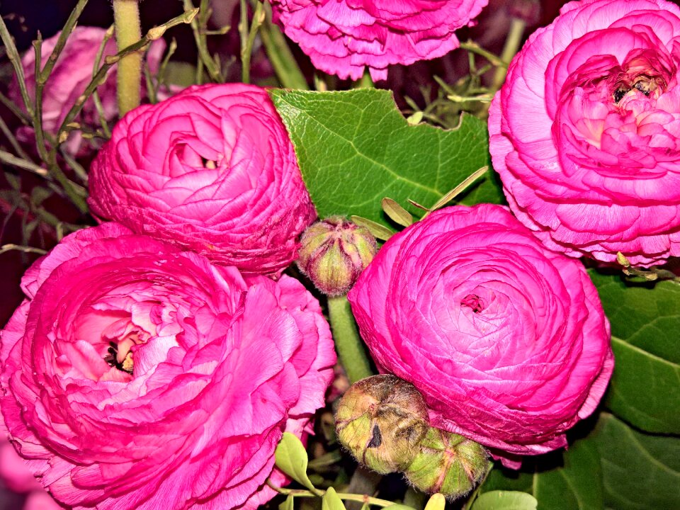 Large flowers pink flower basket