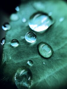 Rain drops droplet