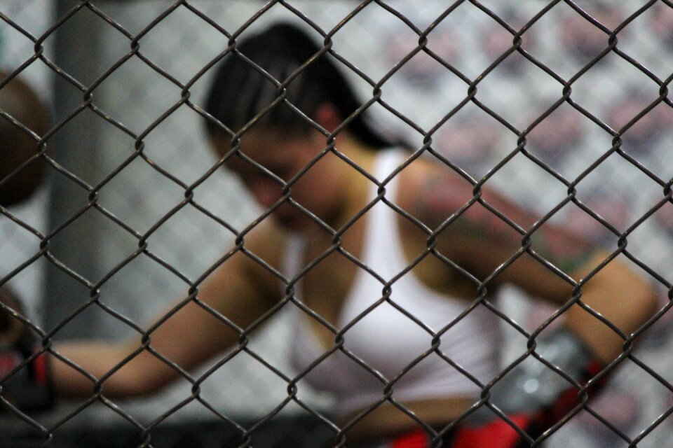 Fight boxing chinese mat
