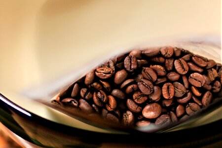 Cafe bean espresso photo