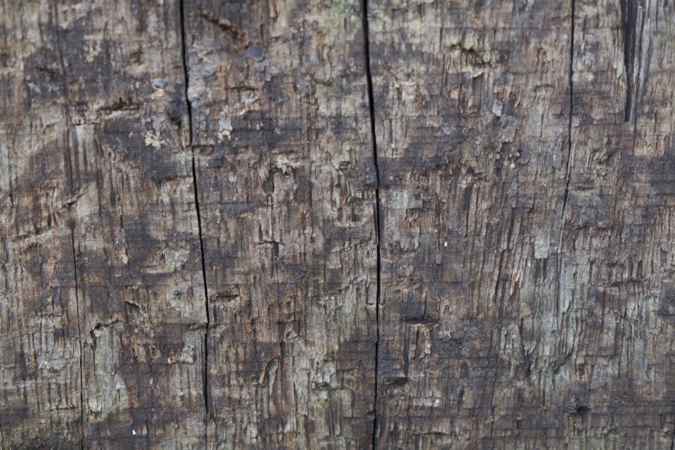 Abstract gray abstract gray wood