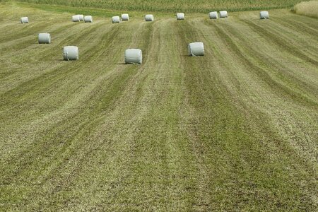 Winter feed bale mowing photo