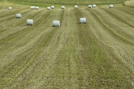 Winter feed bale mowing