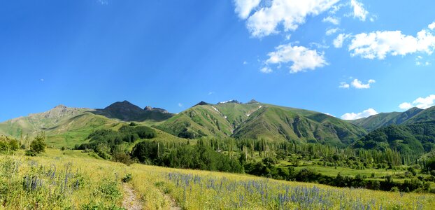 Landscapes nature sky grass