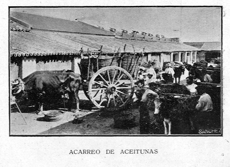 AGuichot110511071912_0312a
