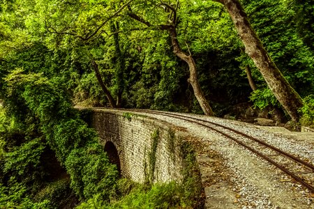 Nature railway scenery