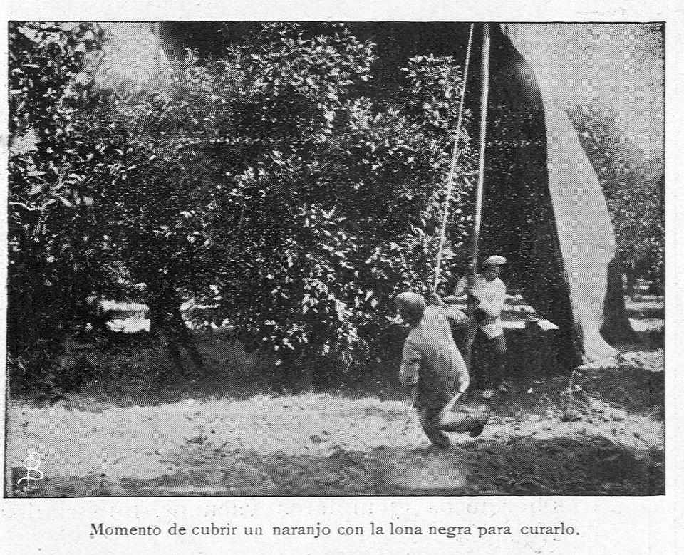 AGuichot110511071912_0543a