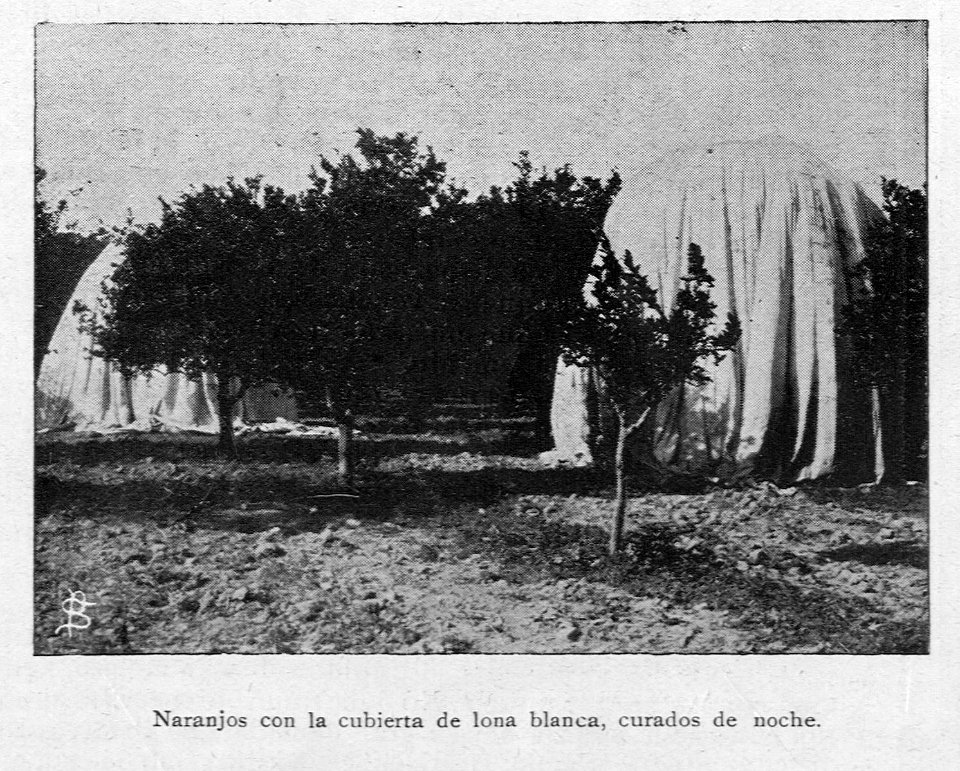 AGuichot110511071912_0545b