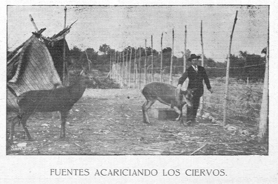AGuichot110511071914_0003a