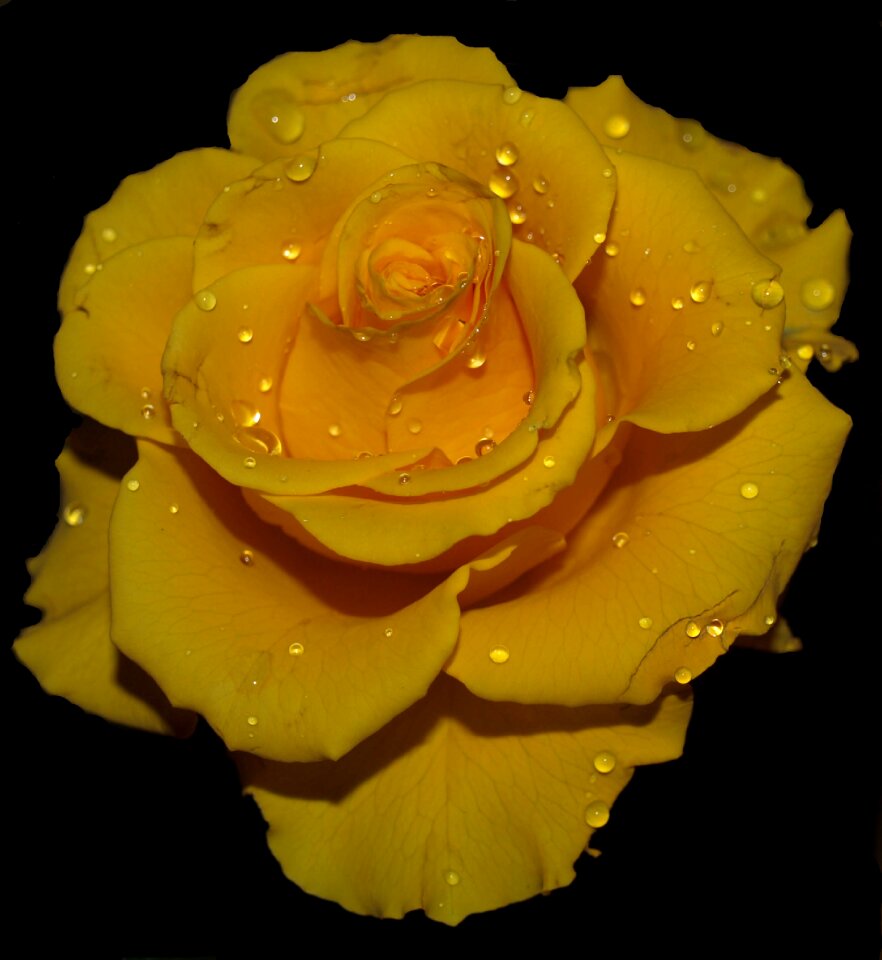 Love desktop yellow