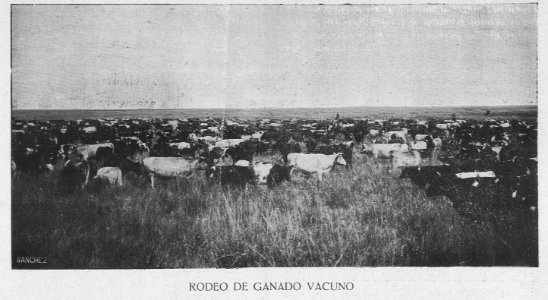 AGuichot110511071914_0069