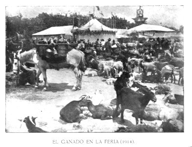 AGuichot110511071914_0112