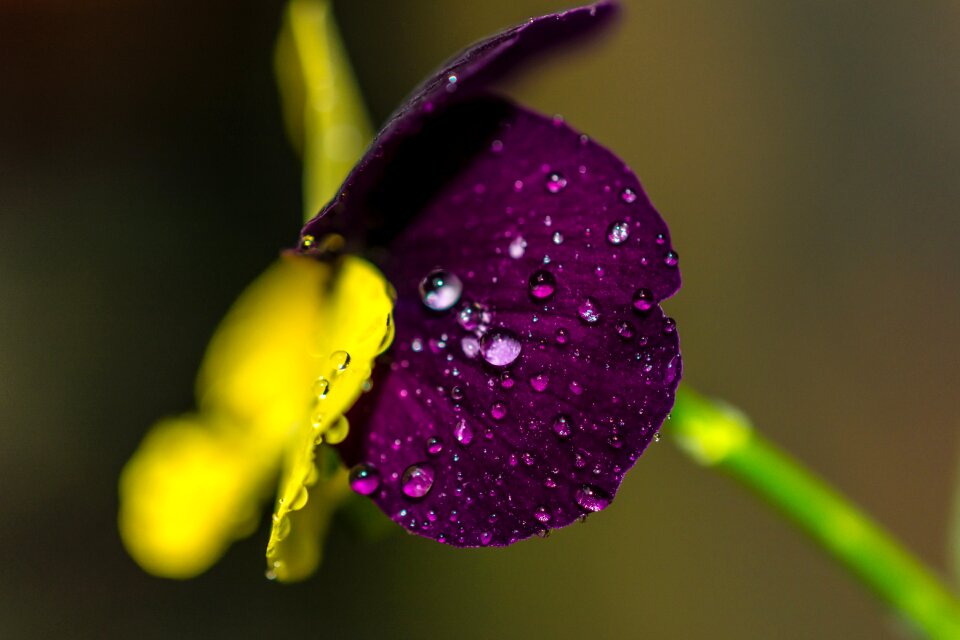 Blur water drop