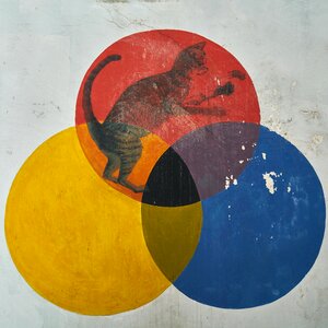 Color paint circle
