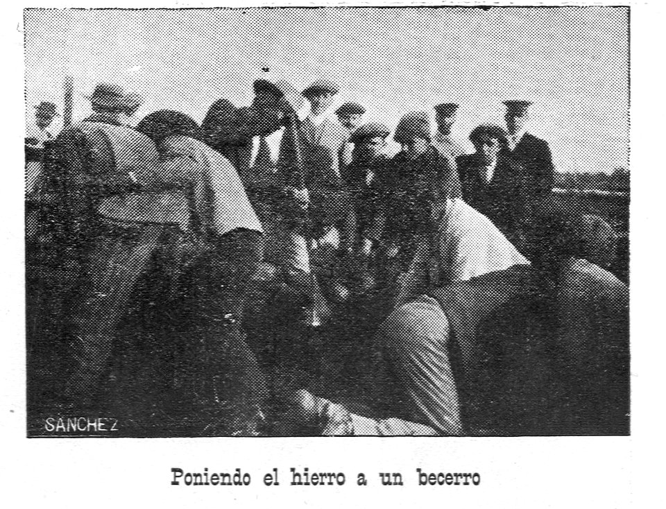 AGuichot110511071913_0131c