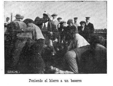 AGuichot110511071913_0131c