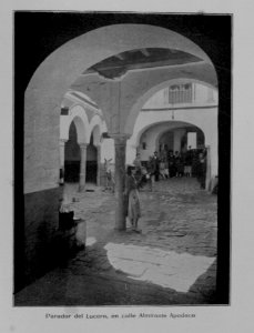 QArm571_0052