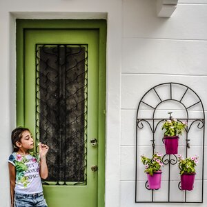 Flower pots house colors