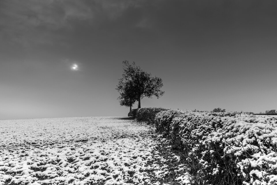 Nature horizon clouds photo