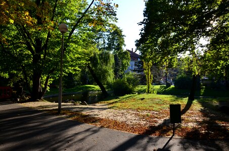 Autumn tree shadows photo