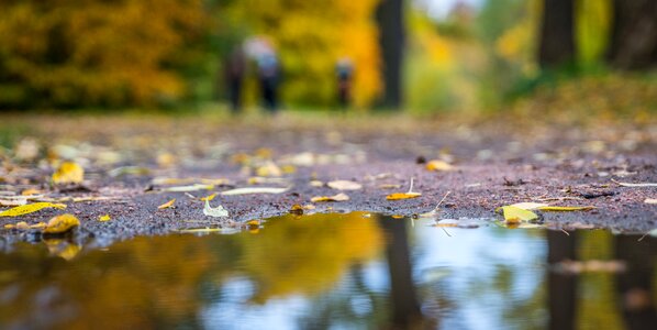 Sheet outdoors puddle
